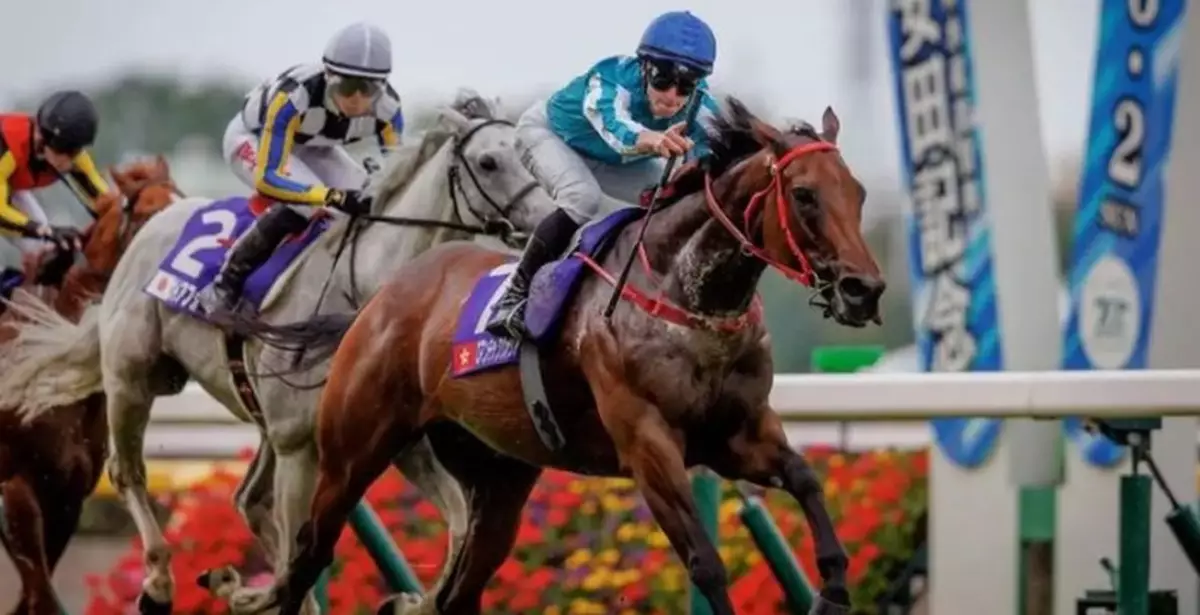 Hong Kong Champion Romantic Warrior Retired Due to Leg Injury