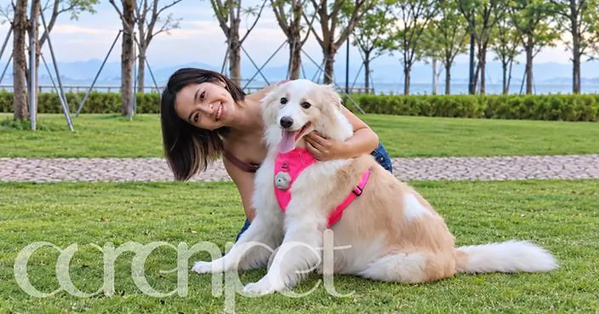 Ouren Memory One Launches on Indiegogo to Bring Pet Owners Closer to Their Pets