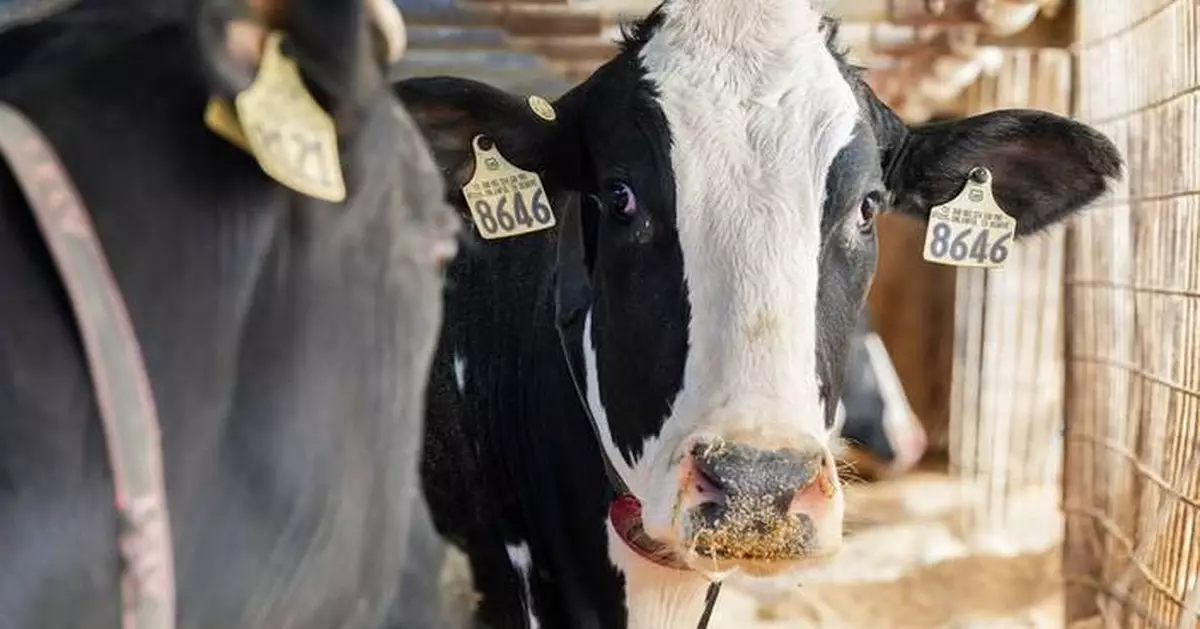 Sartori Cheese Boosts Wisconsin Dairy Exports to South Korea with Coupang