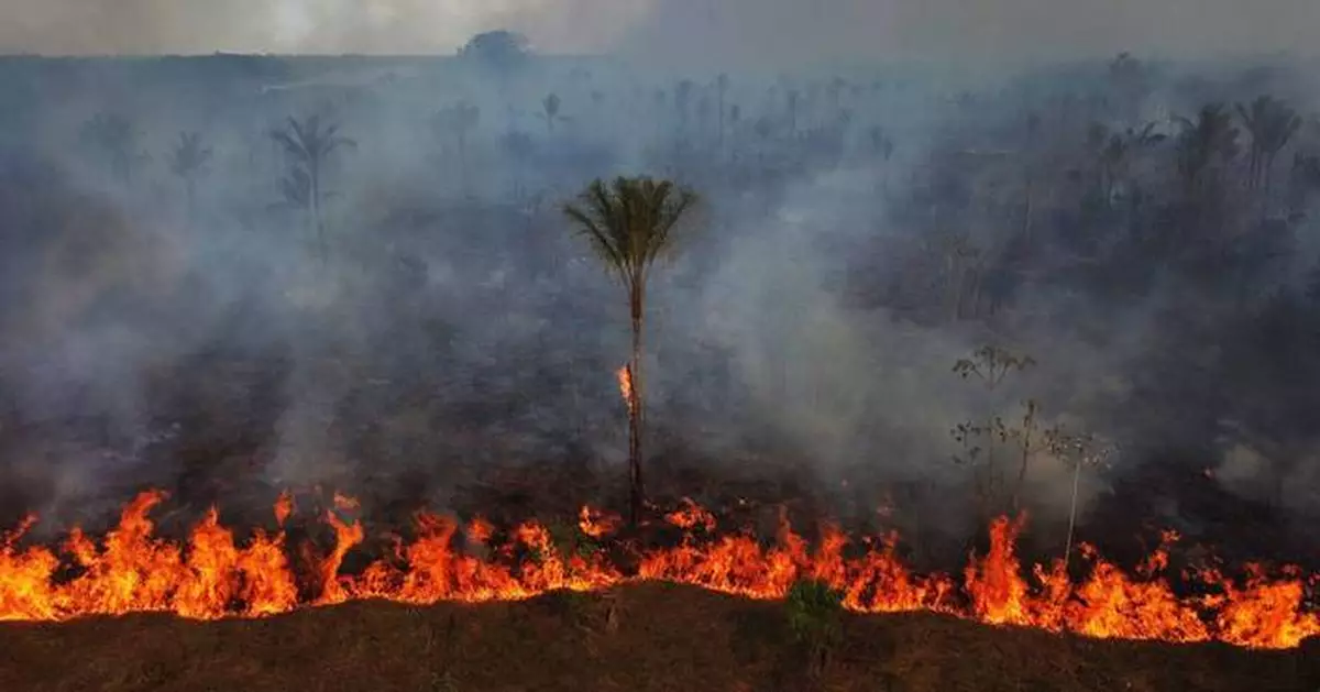 Indigenous, environmental groups warn far-right gains in Brazil’s Congress threaten protections