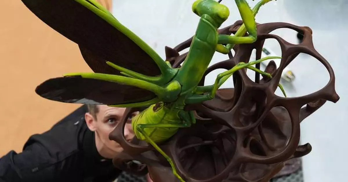 Photos of chocolate transformed into creatures at the World Chocolate Masters in Belgium