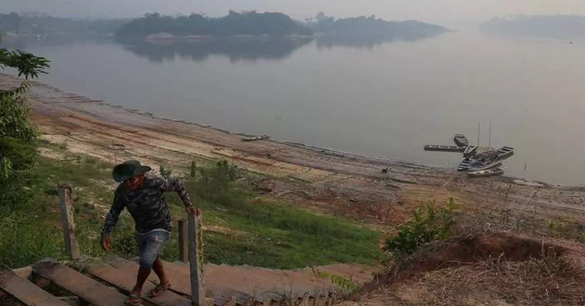 Environmentalists celebrate Lula's reelection in Brazil: 'The Amazon can breathe a sigh of relief'