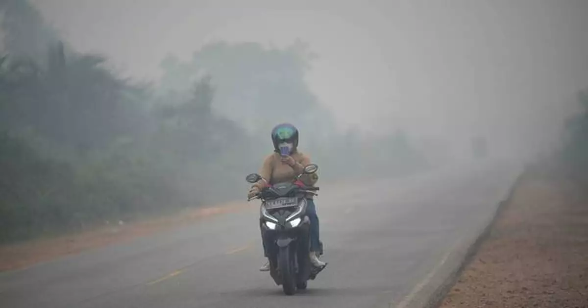 Wildfires threaten Indonesia's orangutans as rescuers find injured animals
