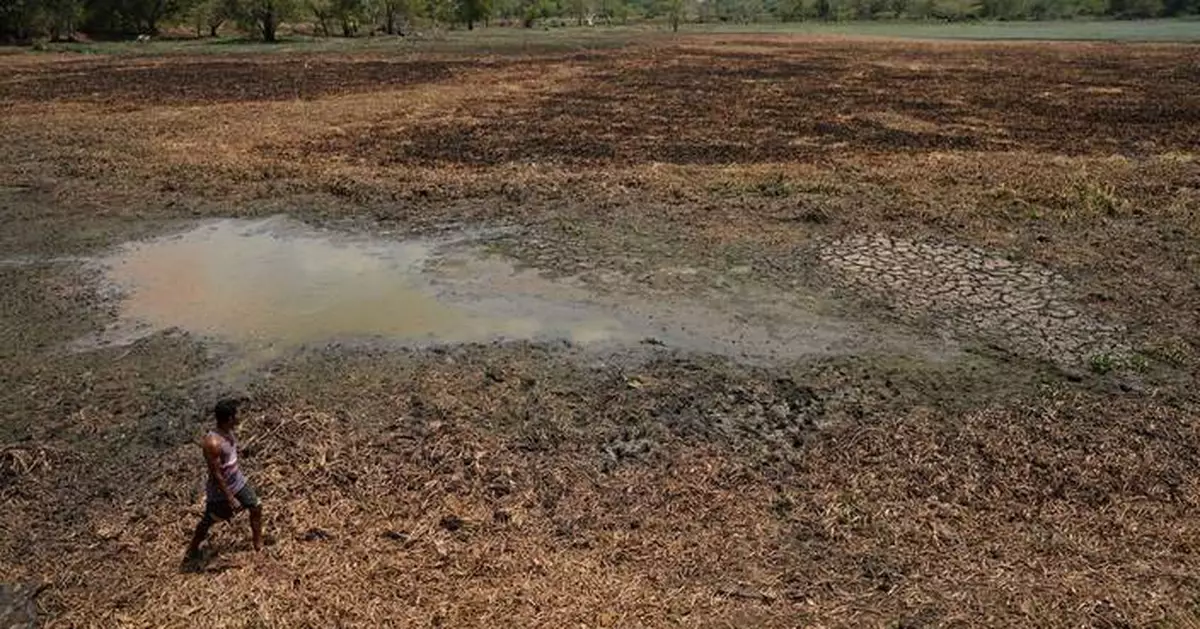 In drought-stricken Sri Lanka, farmers watch wells empty and wildlife crowd shrinking water holes