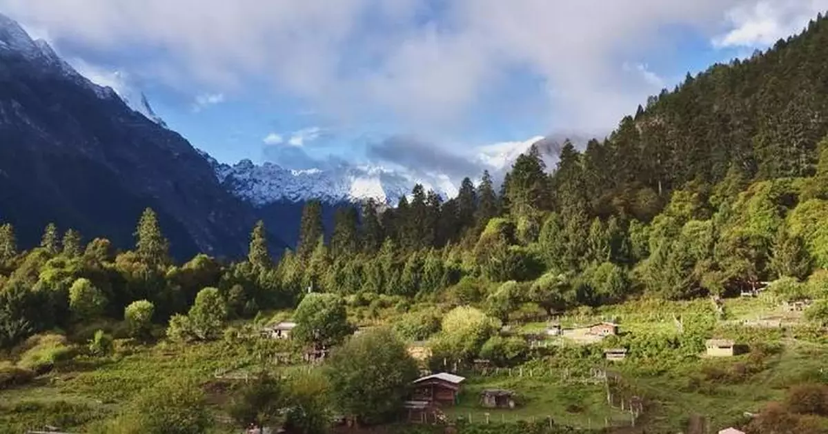 Landscapes shine in perfect autumn across China as green development gains pace