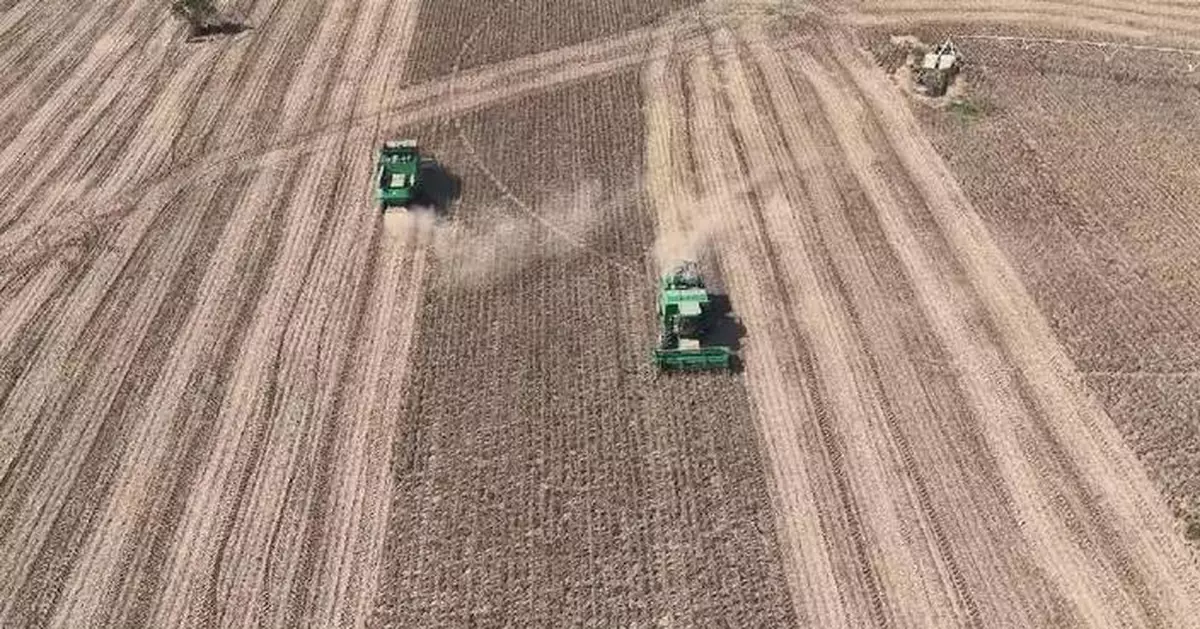 China harvests 40 pct of autumn grain