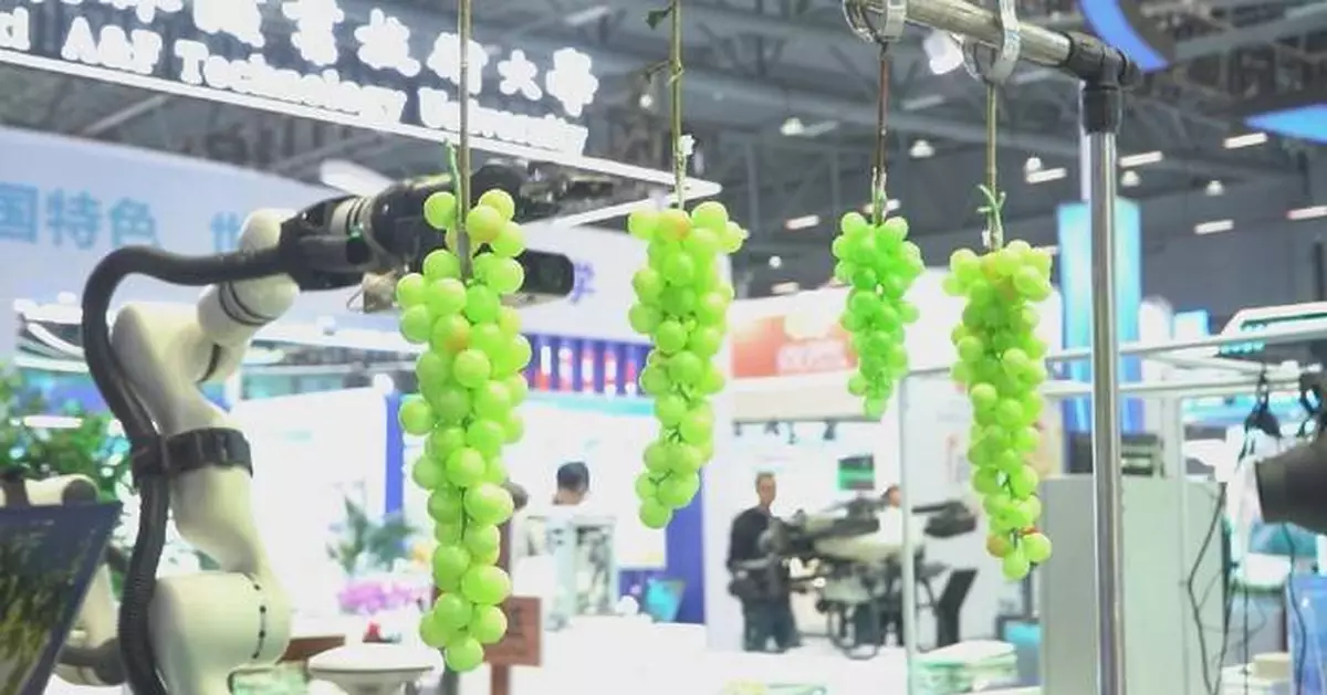 Technical Drafting Font Yangling agro-expo to display 1,000 Chinese sci-tech achievements