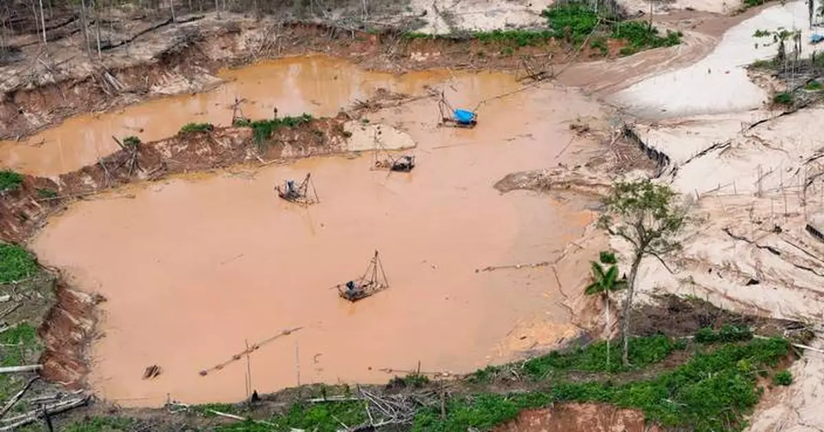 Human rights commission urges oversight of technology used in Latin American environmental crime