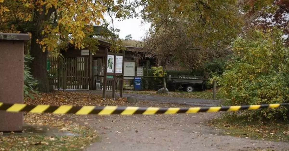 An 8-year-old girl was attacked by a wolf in a German zoo