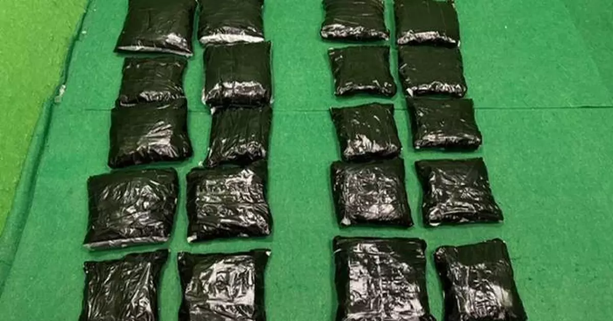 Hong Kong Customs Seizes 46kg of Cannabis, Arrests Five in Drug Trafficking Cases at Airport