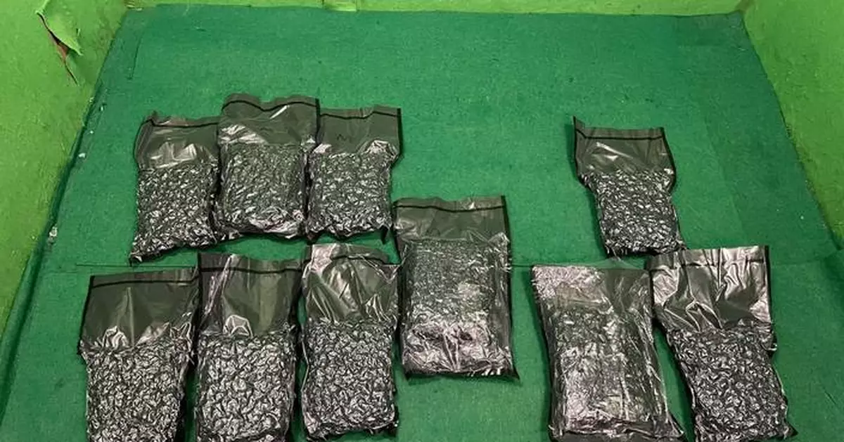Hong Kong Customs Seizes About 6kg of Suspected Cannabis Buds Worth About $1.2 Million at Airport, Arrests Passenger