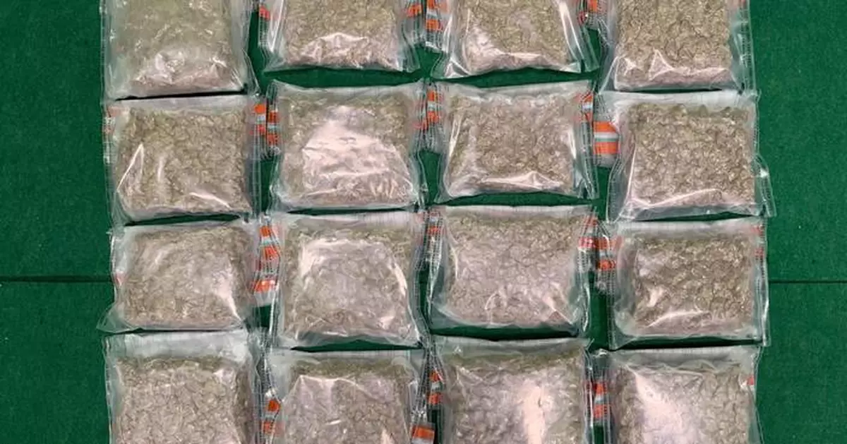 Hong Kong Customs Seizes 9.8kg of Cannabis in Drug Trafficking Arrests at Airport
