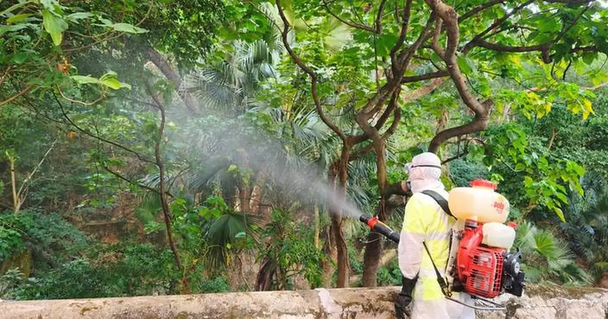 FEHD Releases October Gravidtrap and Density Indexes for Aedes Albopictus Across 33 Survey Areas.