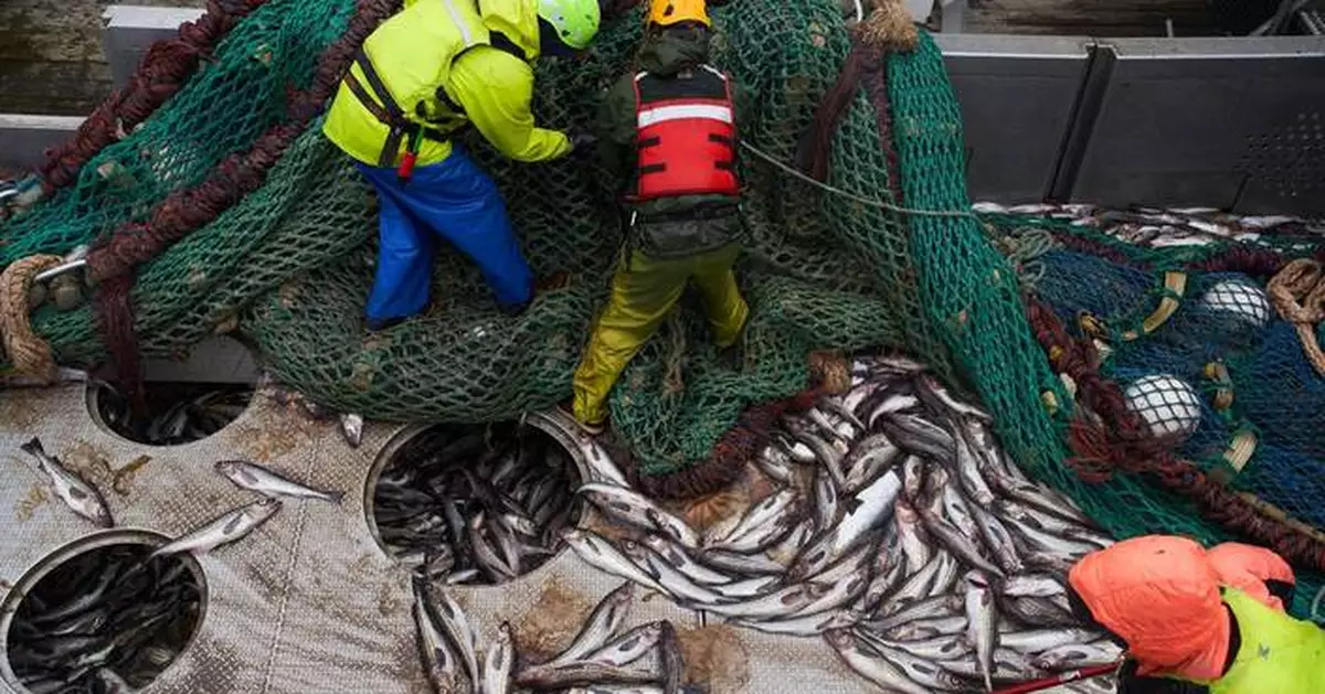 Takeaways from AP’s report on Alaska’s growing fight over trawling and bycatch
