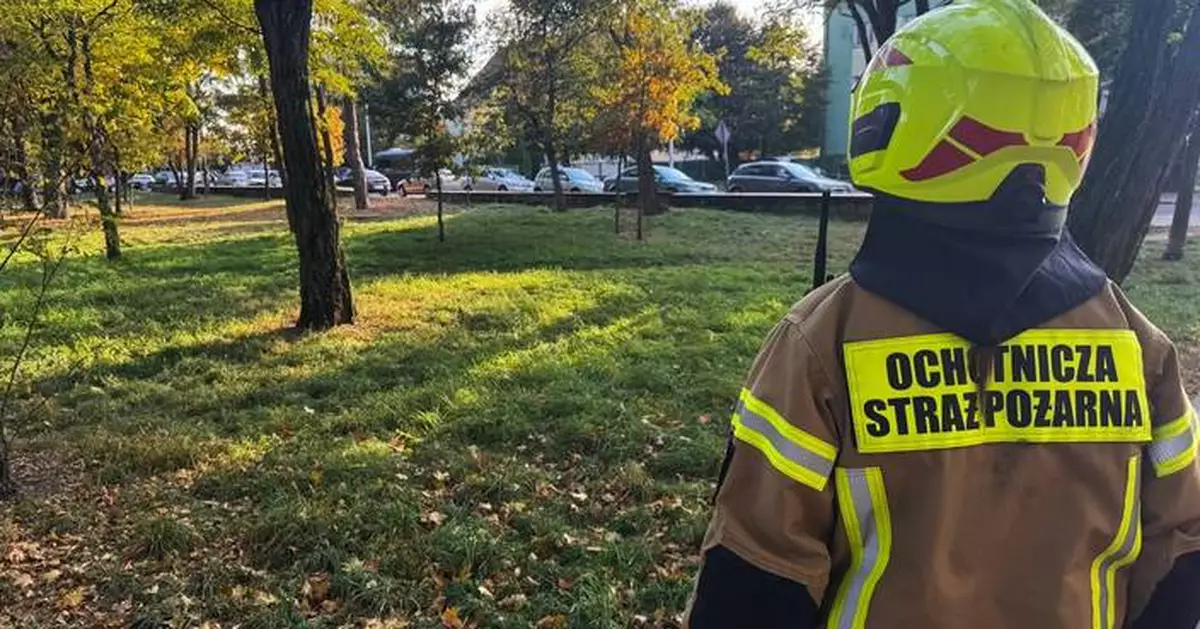 19-year-old student in Poland injures 9 people in a school attack