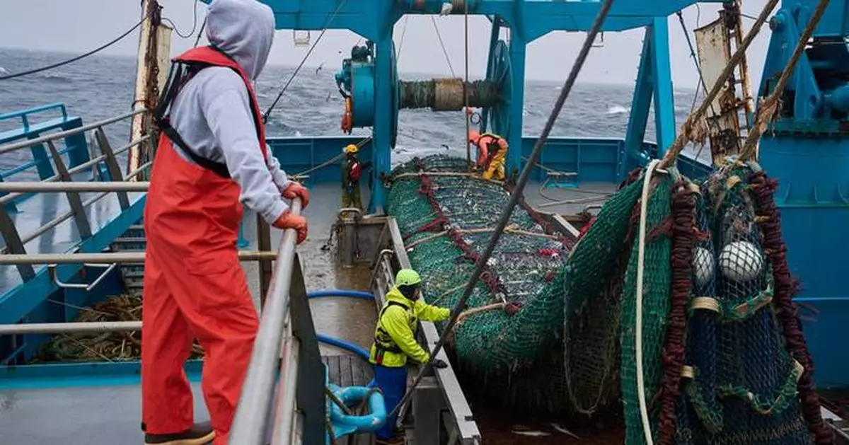 The fish behind America’s fish sticks is fueling a fight over trawling in Alaska