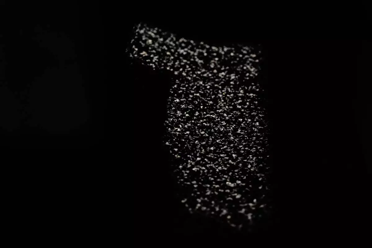 Unhulled buckwheat seeds sit in a processing machine Wednesday, Aug. 19, 2026, at The Birkett Mills in Penn Yan, N.Y. (AP Photo/Joshua A. Bickel)