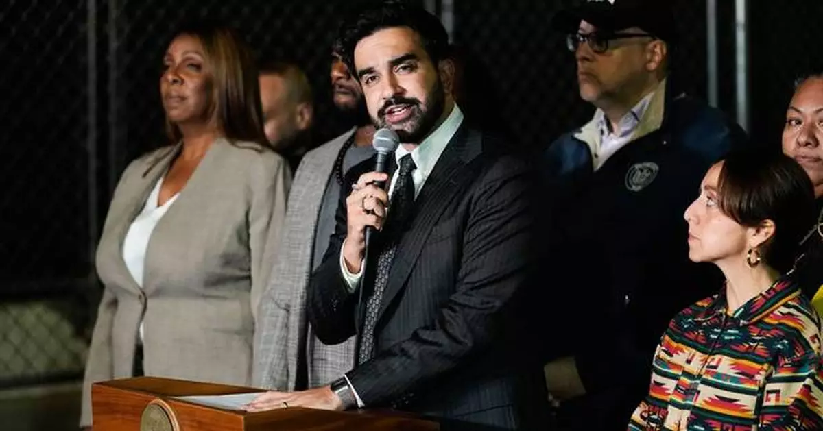 New York Democrats want parking lot owners to ban ICE from their properties