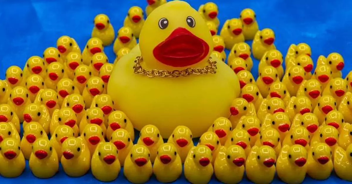 What are ya — yellow?  The rubber duck carries filaments of American history in its 'feathers'