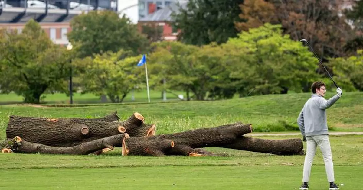 Park service could remove more than 500 trees at historic golf course Trump wants to redesign