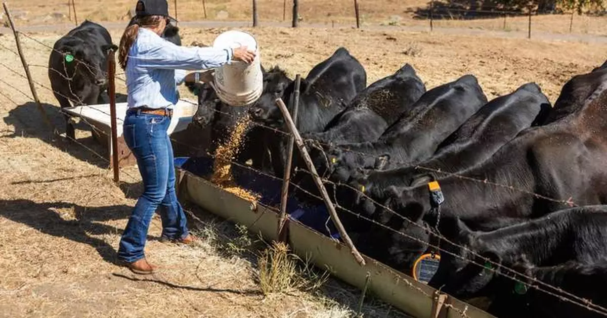 Around the World with Beef: A Fresh Take on Ranch-to-Table
