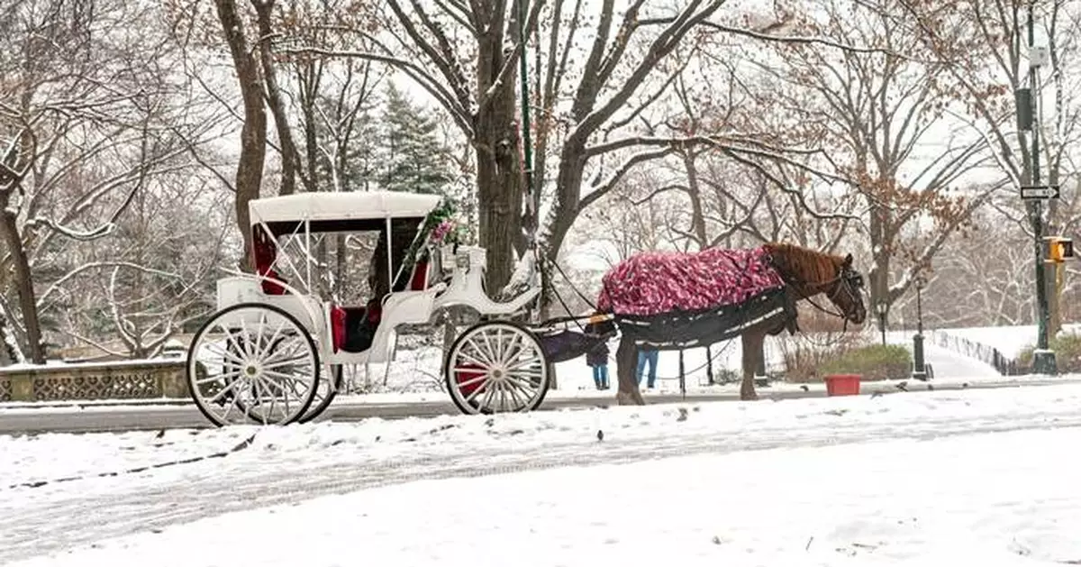 New York to ban Central Park's horse-drawn carriages after teen's death