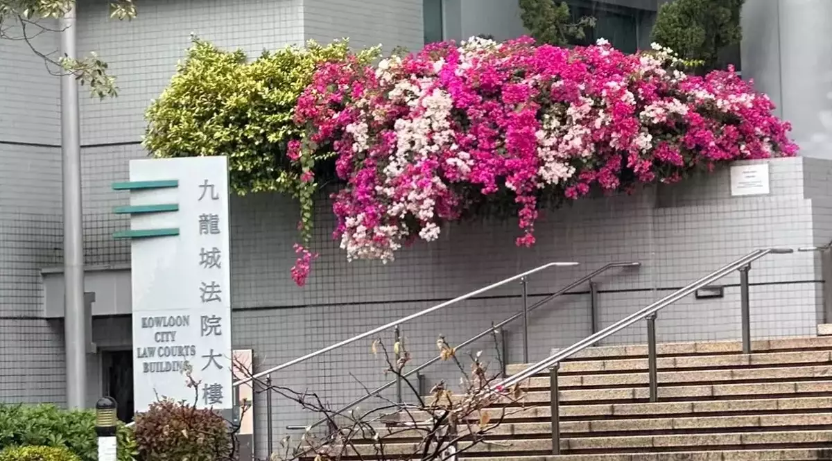 Four Property Owners Fined $116,160 in Total for Failing to Comply with Removal Orders