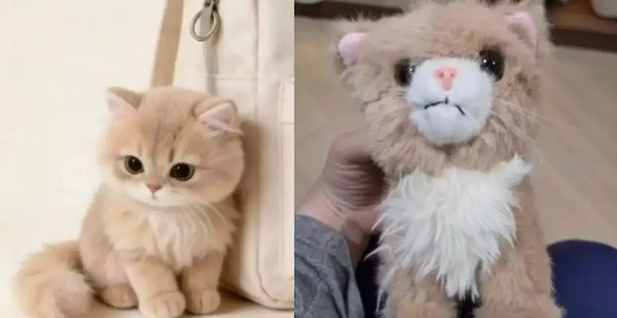 Cute Cat Plush Turns into “Stray Look”, Online Shopping Victims Fume: AI Is to Blame