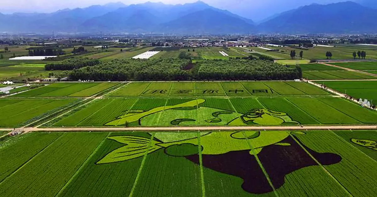 Xi'an Highlights Smart Agriculture and Looks to Expand International Cooperation