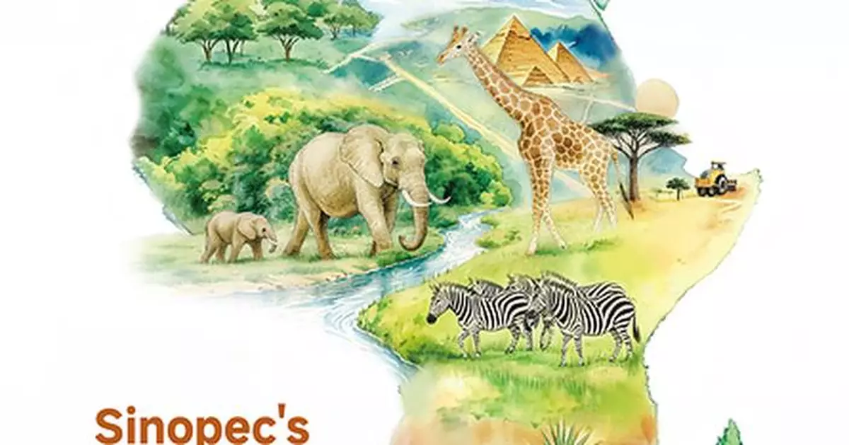 Sinopec Releases Africa Sustainability Report and Launches WE17 Global Communication Brand in Cairo