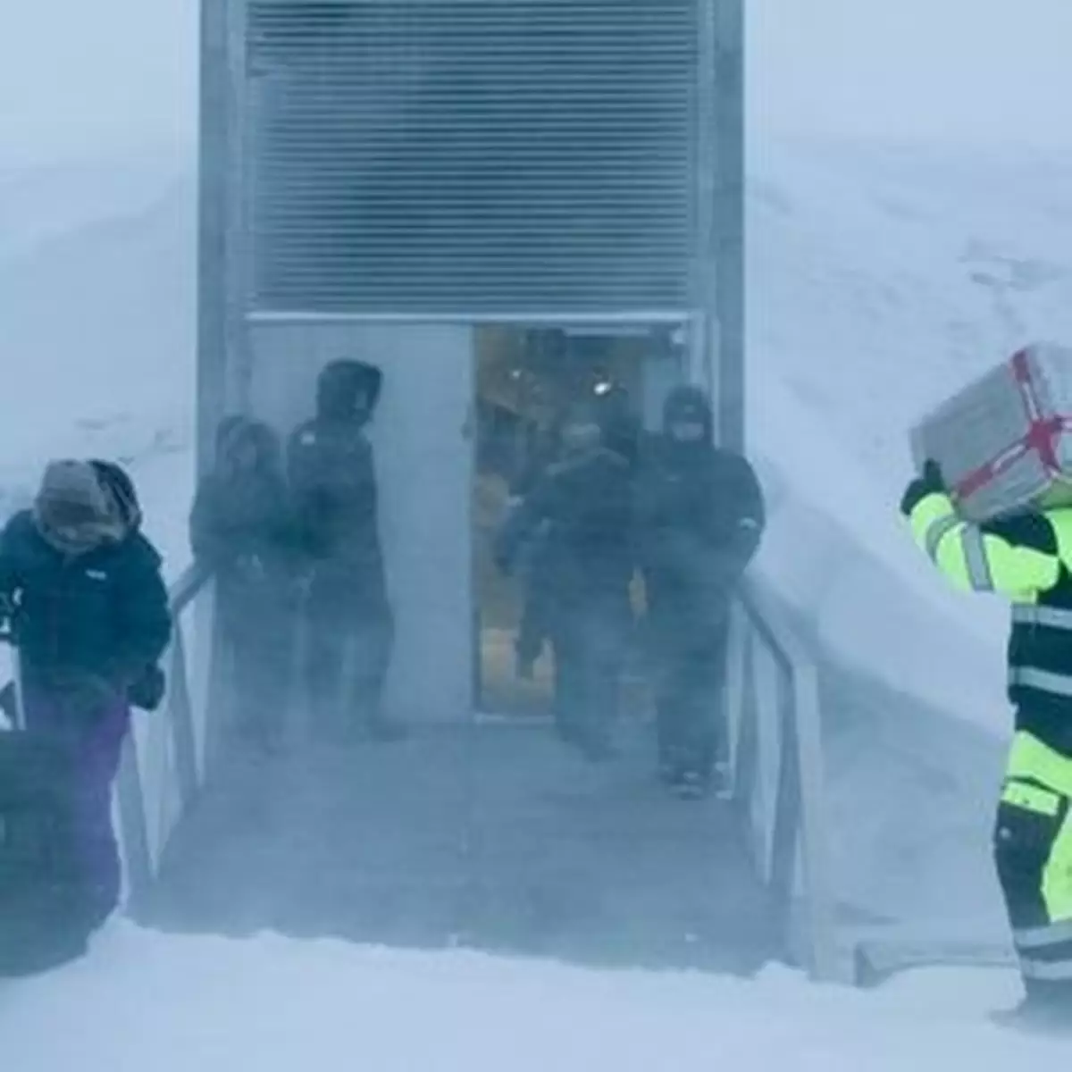 敍利亞內戰逼使末日種子首次出倉