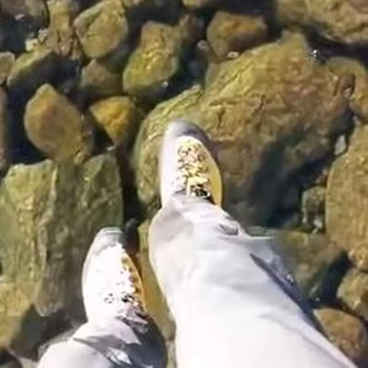 走在全球最清澈冰湖上