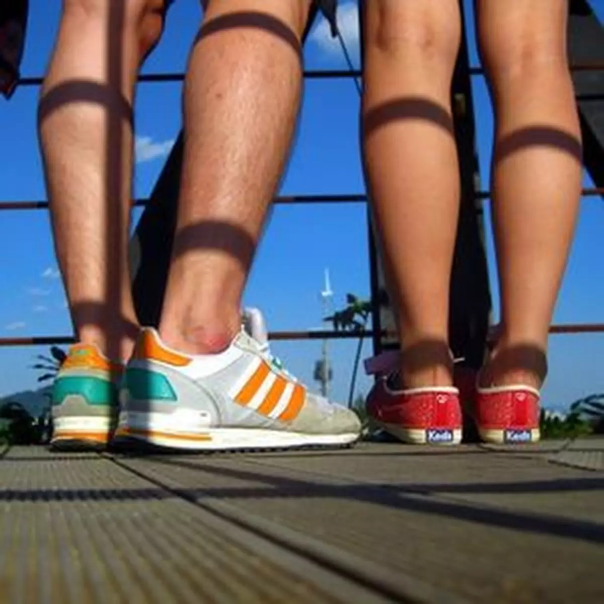 第二心臟－小腿