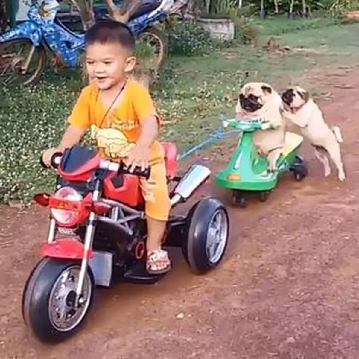 狗爸遊車河 懶理仔仔跌低咗