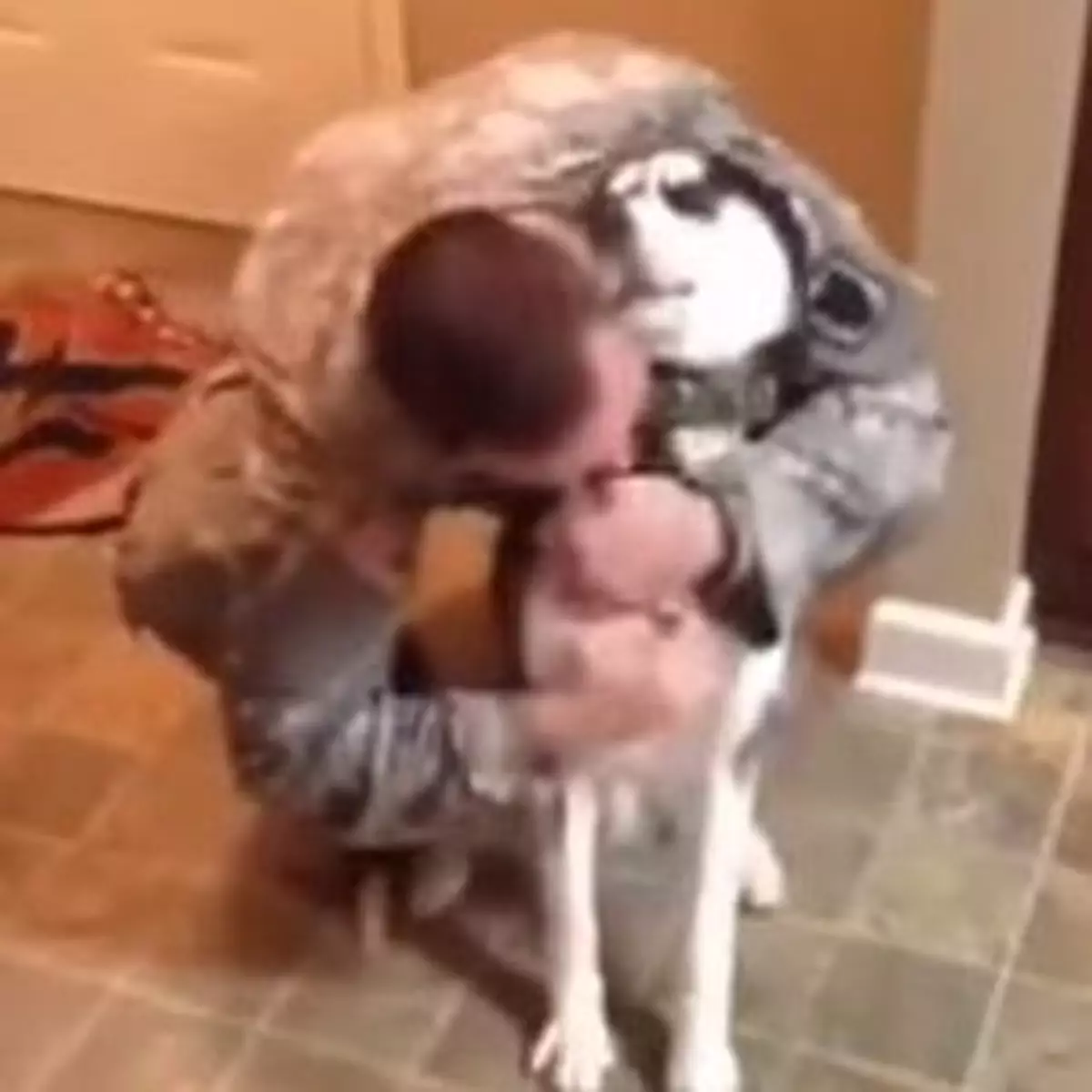 開心狗熱迎軍人返屋企