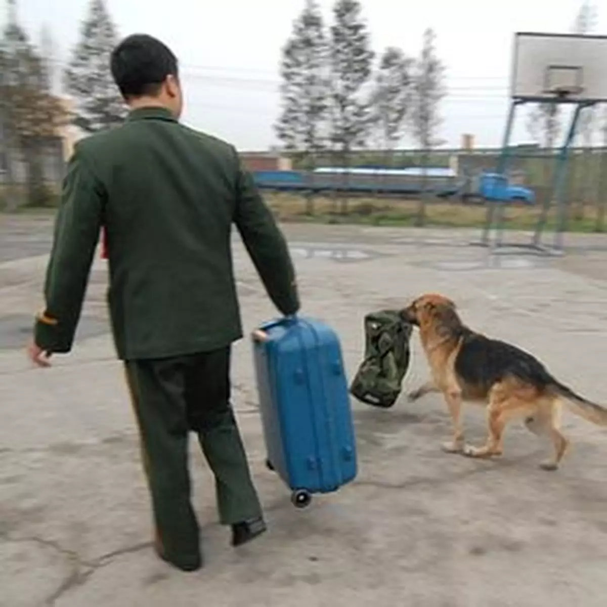 退役武警與軍犬離別 狗狗幫忙拎袋好催淚