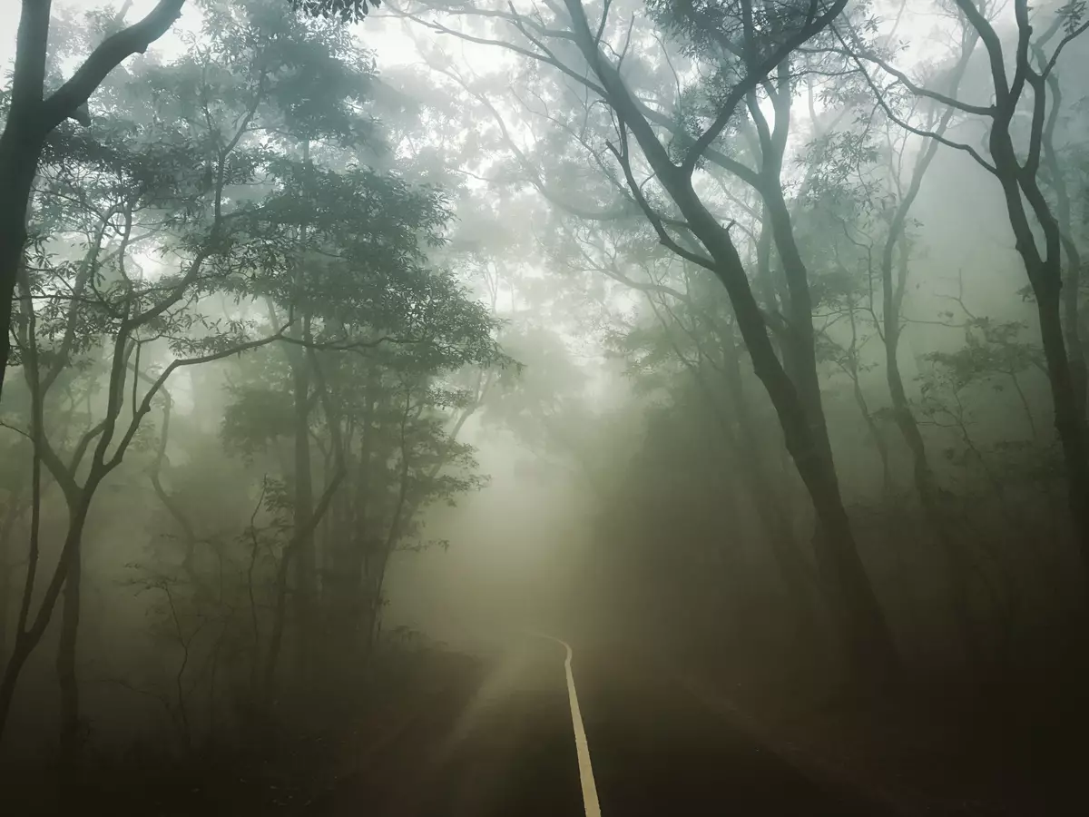 《星期二的攝影課｜Tuesday with Iris》