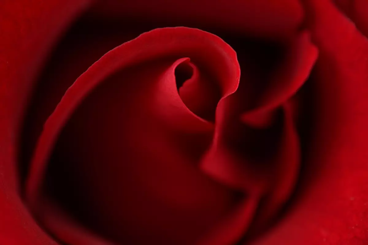 《星期二的攝影課｜Tuesday with Iris》