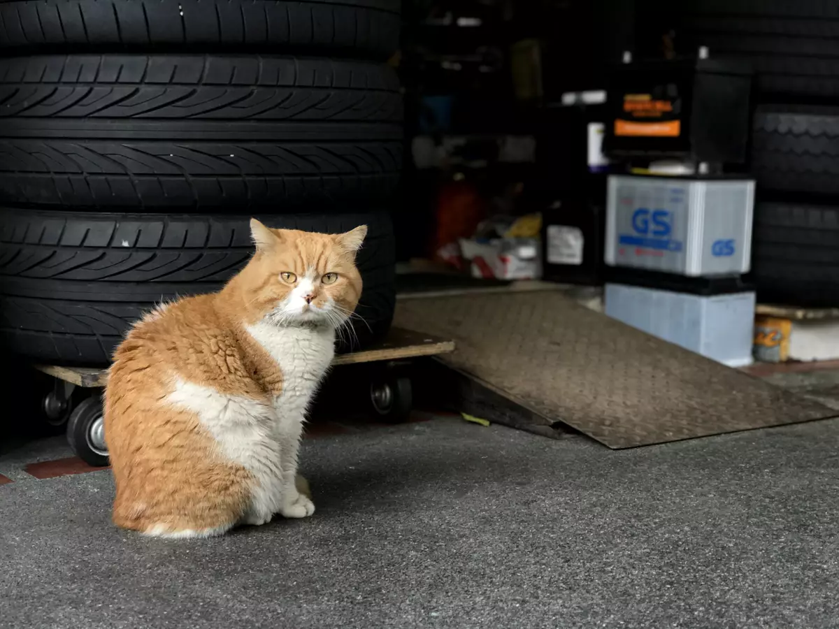 《星期二的攝影課｜Tuesday with Iris》