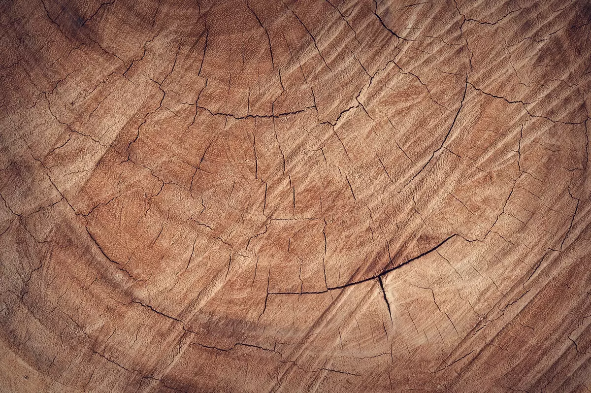 木材建材有何吸引之處及優點？