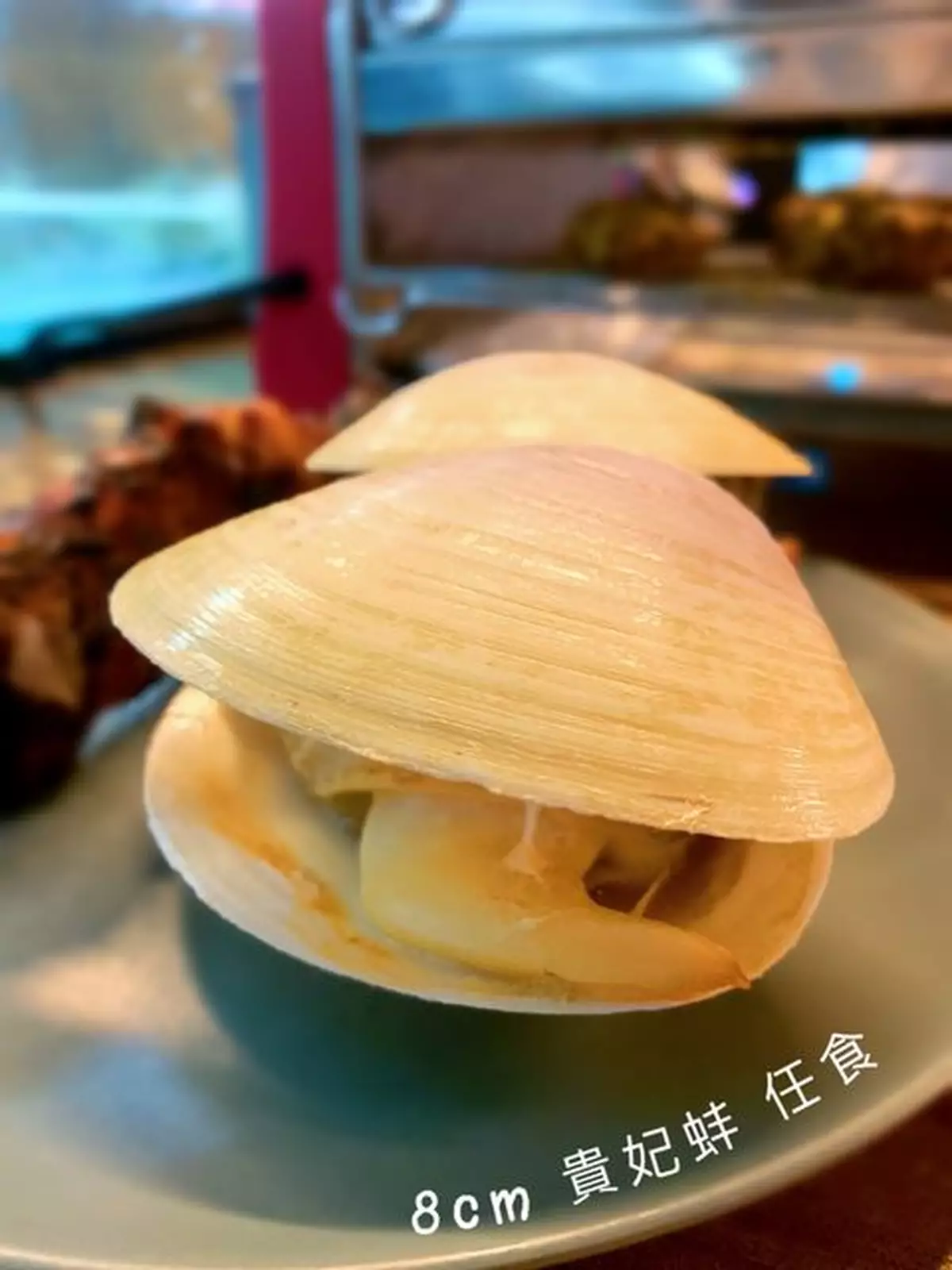 7cm大新鮮鮑魚、8cm大貴妃蚌、扇貝海鮮瘋狂任食