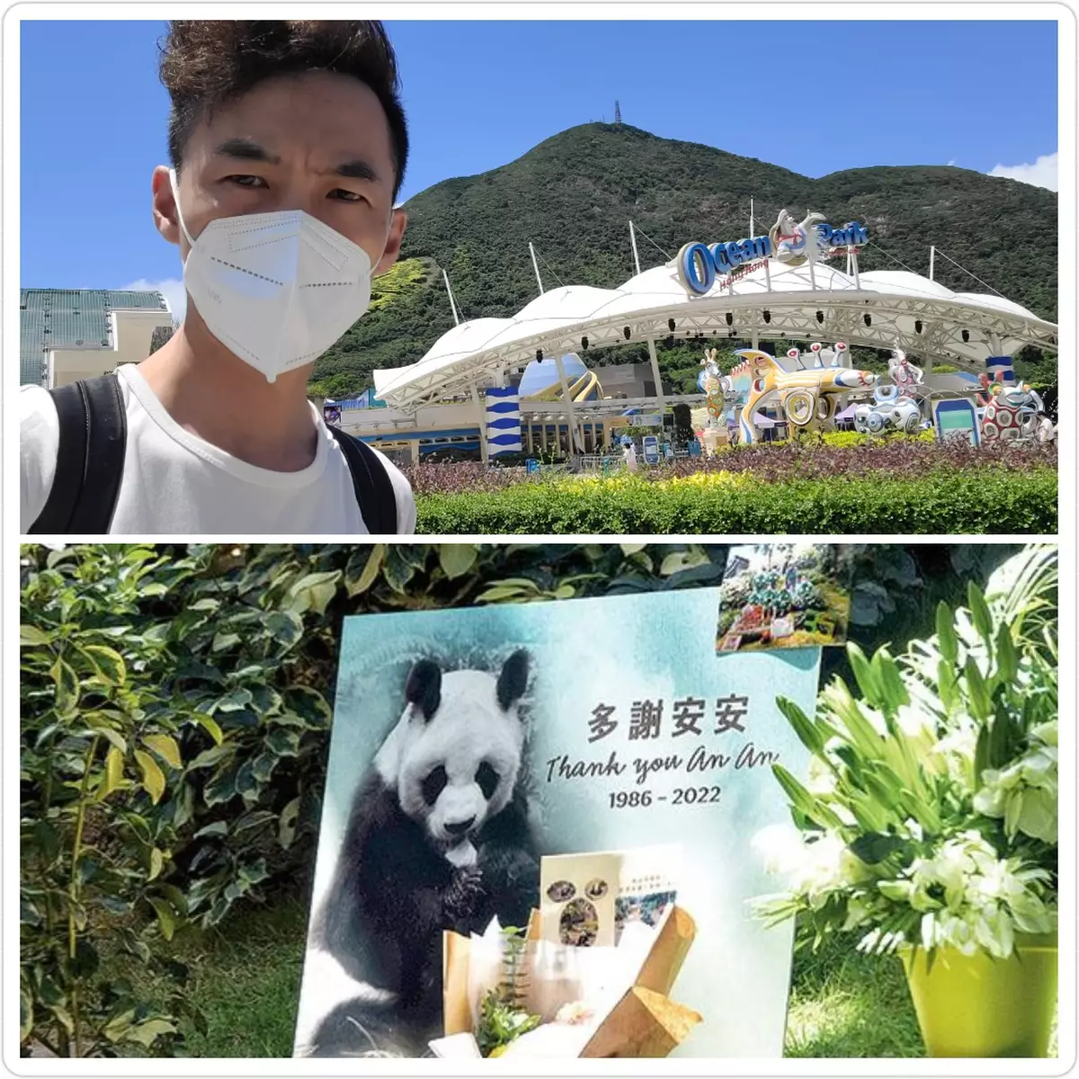 多謝大熊貓安安 伴港人23載!