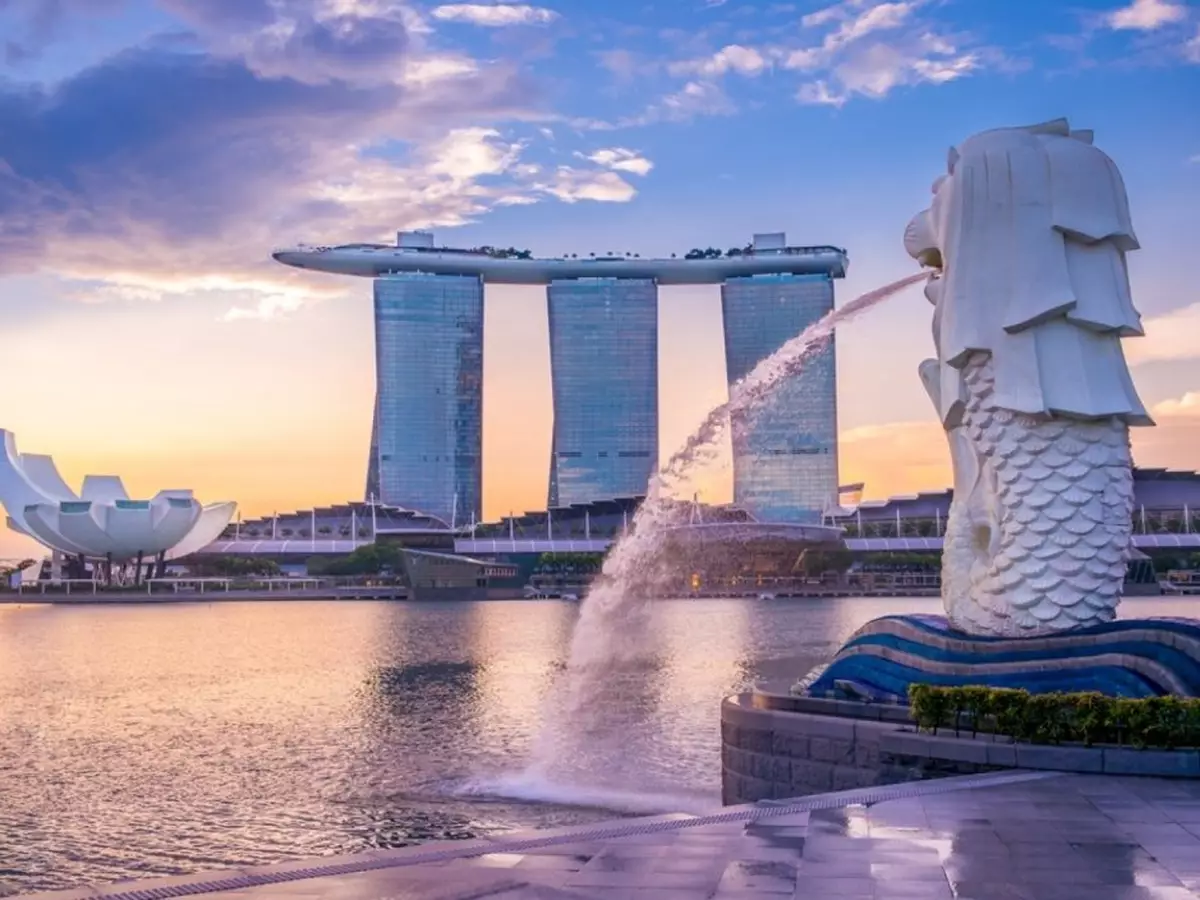 新加坡更渴求自動化解決方案