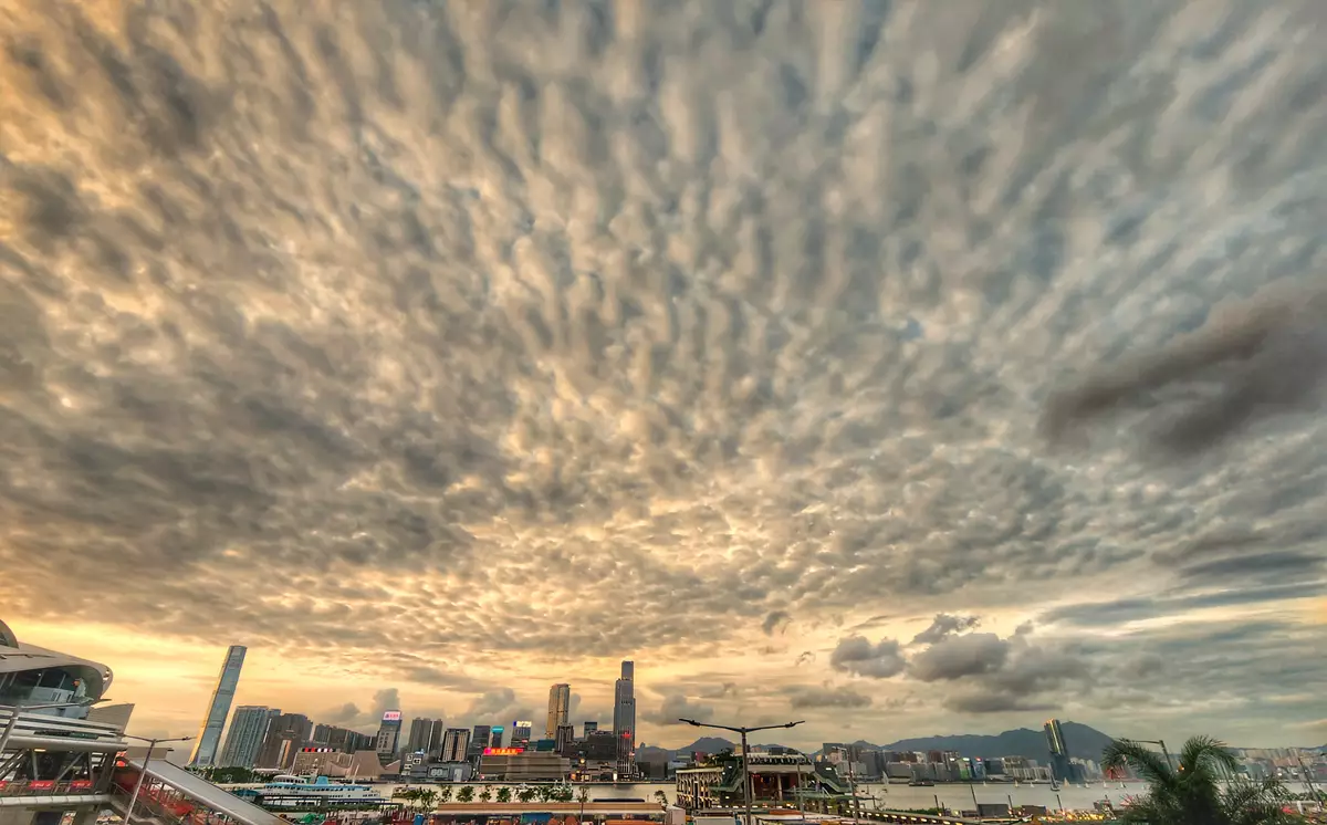 樓市展現強勢  淡友情何以堪