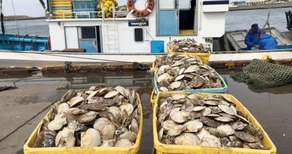 日媒稱日本水產品已恢復出口到中國