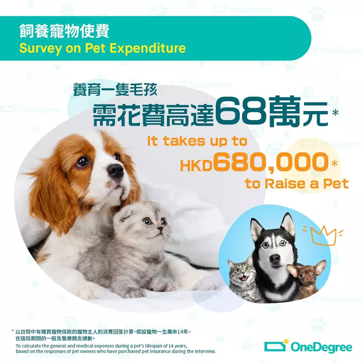 香港人養一隻寵物平均付出多少？