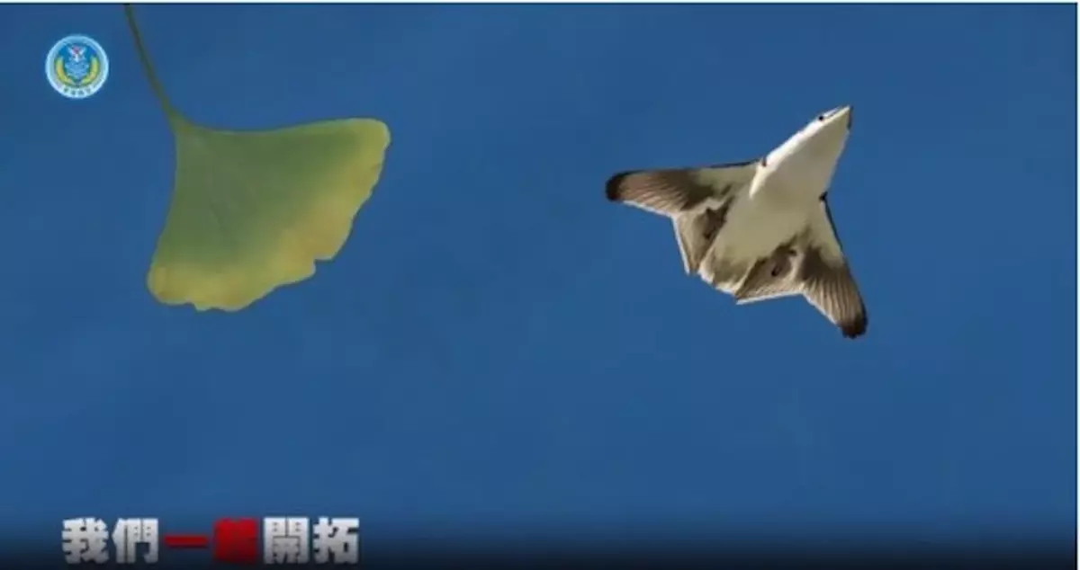 東部戰區元旦發佈《中國人》重磅MV引島內高度關注 專家解讀「銀杏葉」隱喻六代機發出震懾