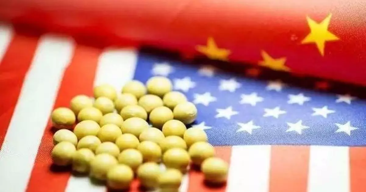 外媒：經過數月停滯 美國對華農作物運輸正在加速