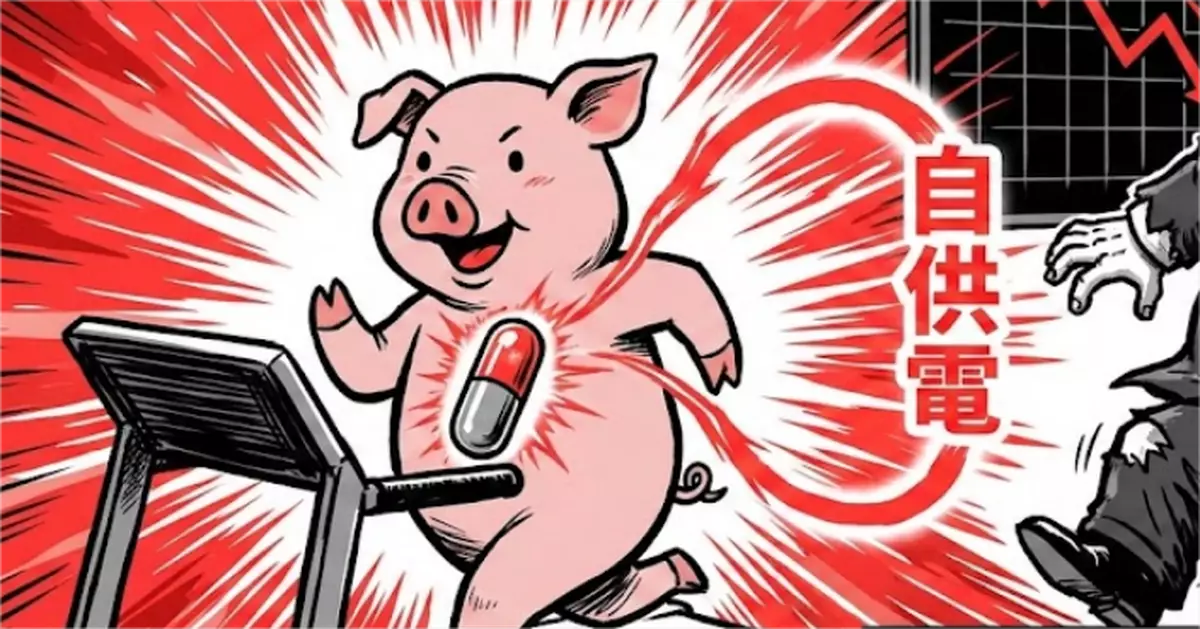 心臟也能做充電寶？中國黑科技打破西方換電吸血模式　豬隻實驗讓華爾街慌了