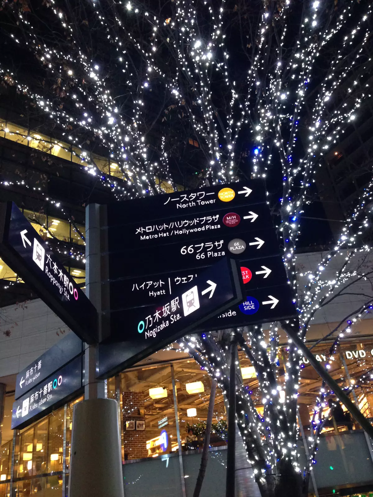 レイニーブルー 